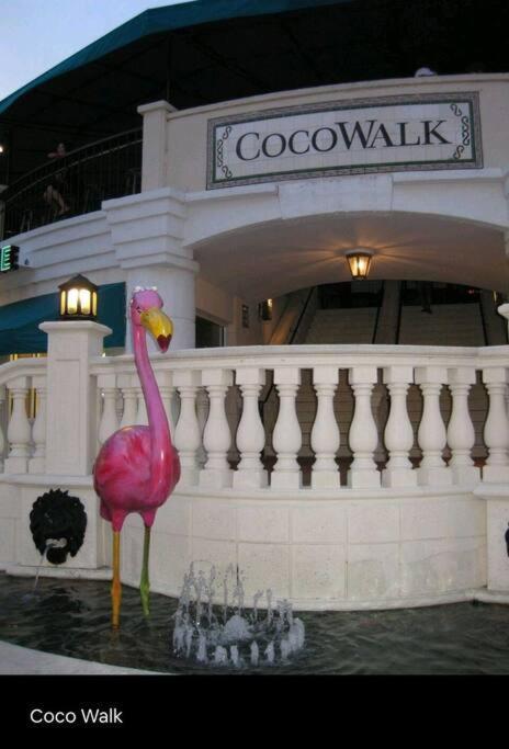 Sol Miami # 2 With Free Parking Apartman Kültér fotó